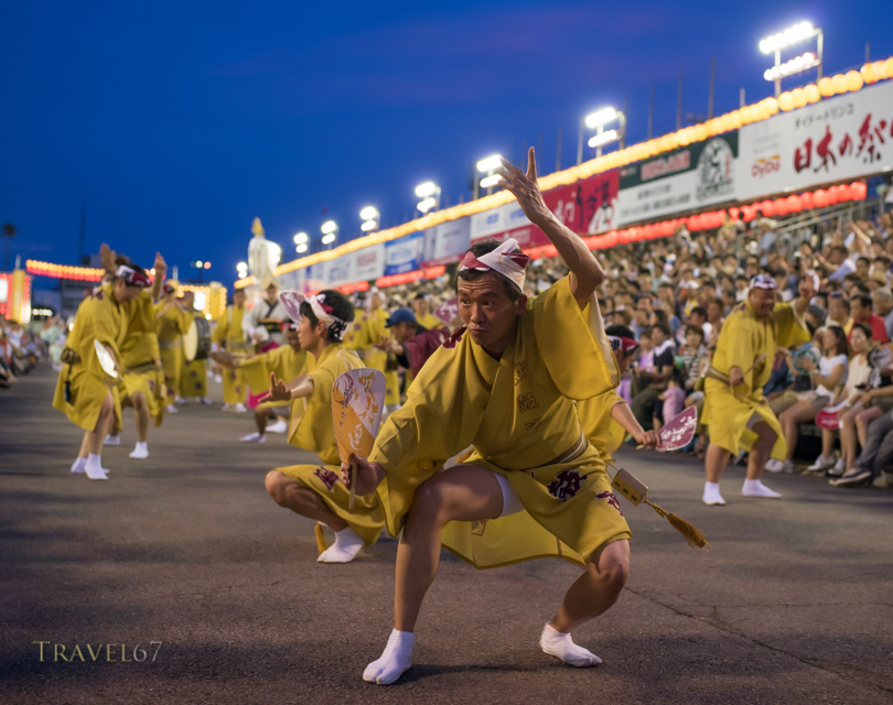 Awa Odori ( Awa Dance Festival ) 