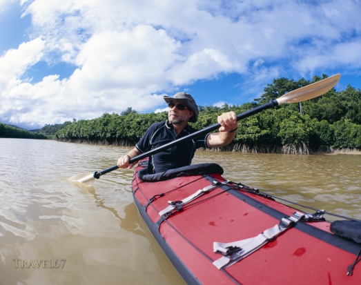 Kayaking in the mangroves, Ginoza.