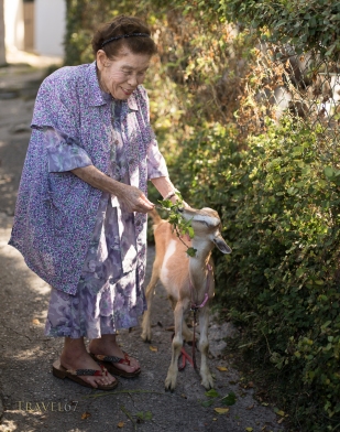 Shizuko Hanashiro 98 years old with at goat in Tsuboya Pottery District of Naha City, Okinawa.