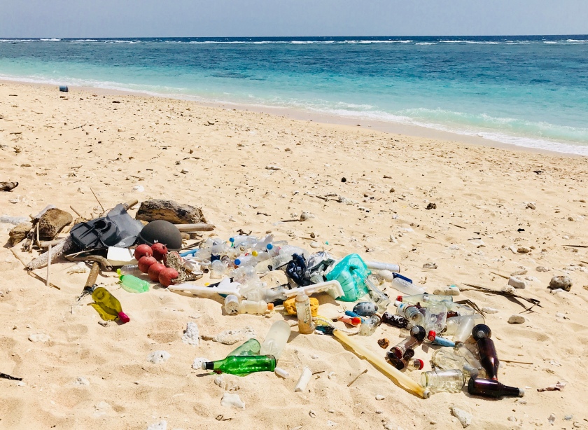 Image result for pictures of beach with trash